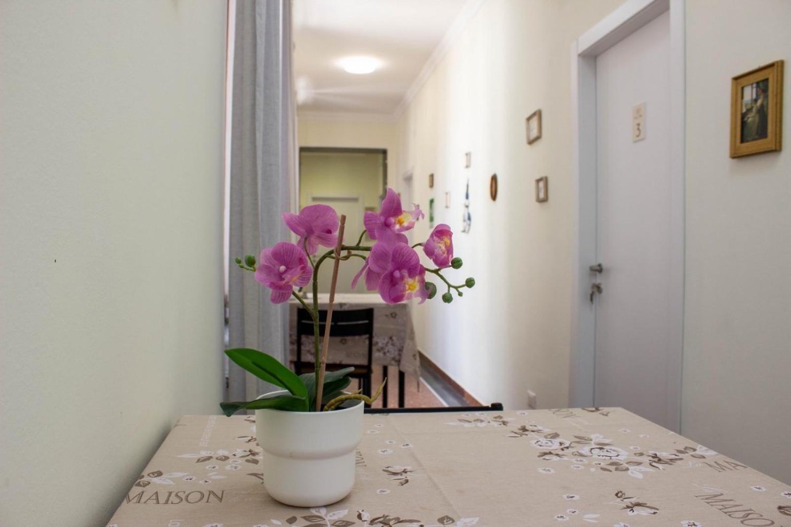 B&B Corso Italia Pisa Esterno foto